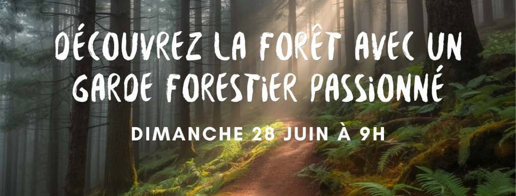 Découverte de la forêt malonnoise