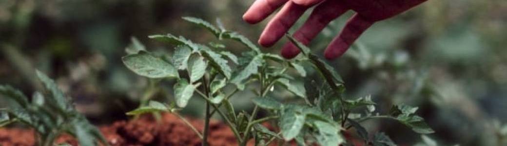 Découverte de la permaculture - Saint Molf (SP03-2023-03)