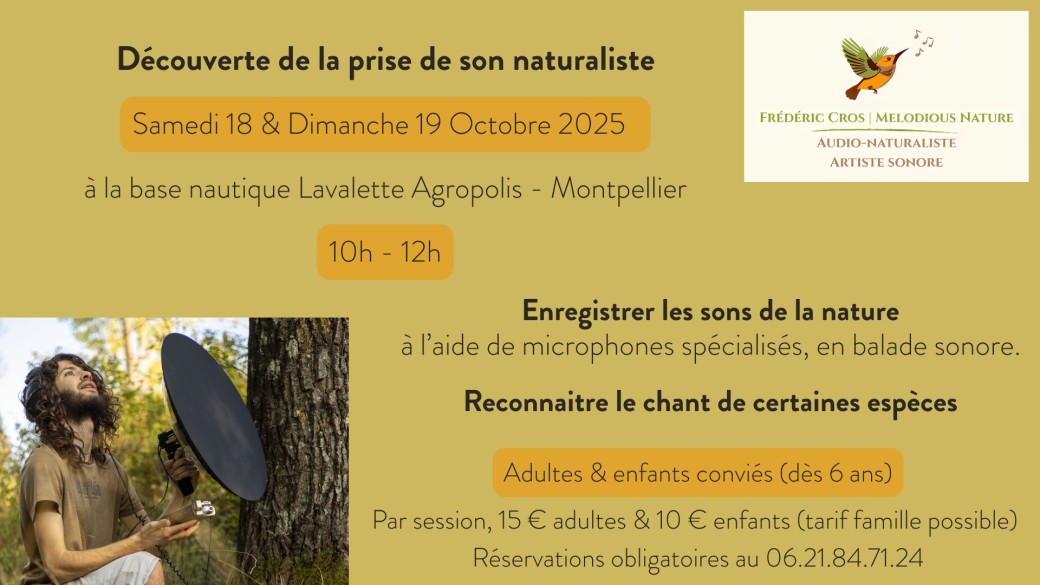 Découverte de la prise de son naturaliste