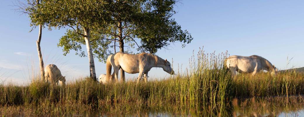 Découverte de la Réserve au fil des saisons