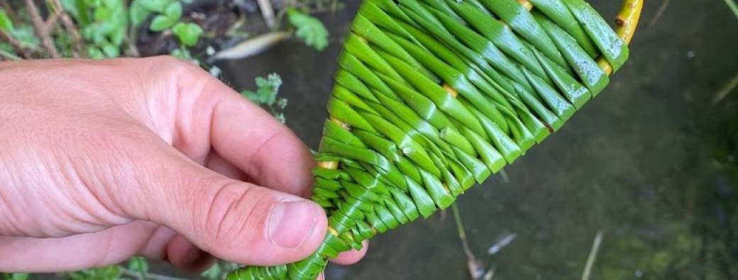 Découverte de la vannerie - DE LA PLANTE AU TRESSAGE