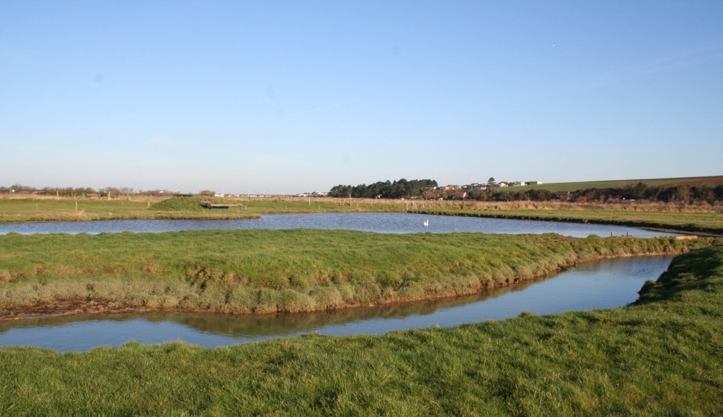 Découverte de la zone humide et des oiseaux d’eau 