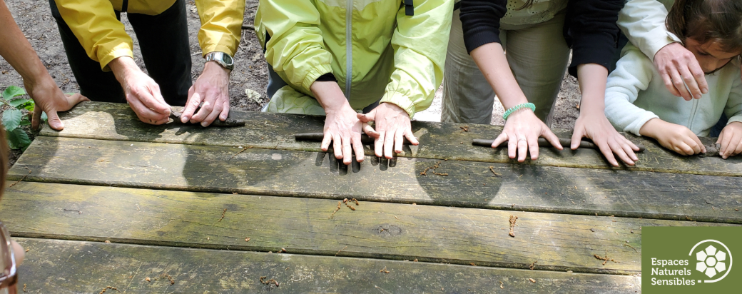 Découverte de l'argile