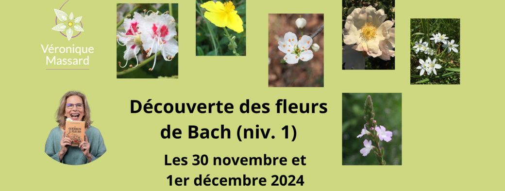 Découverte des fleurs de Bach - Niveau 1