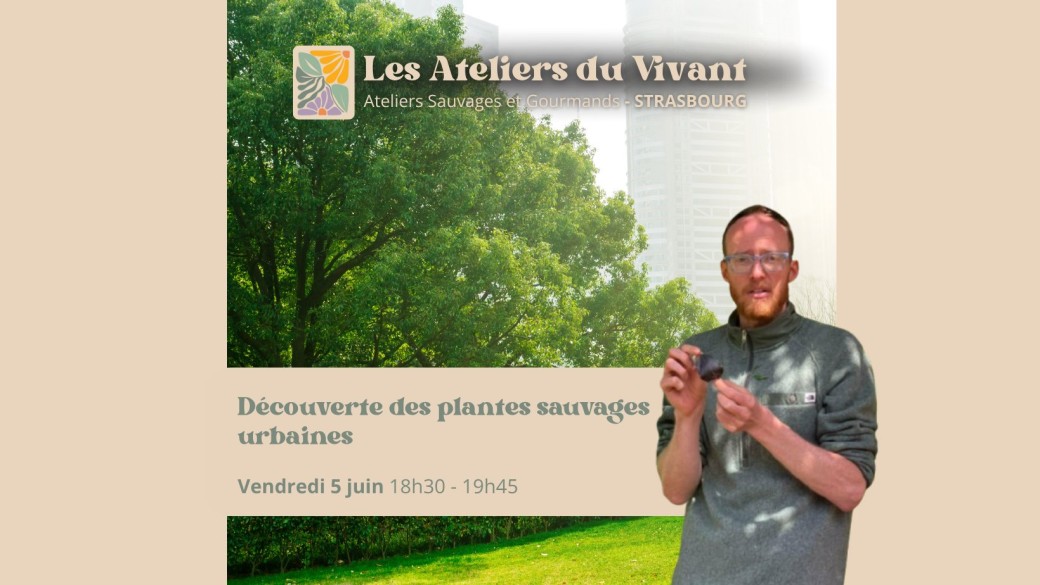 Découverte des plantes sauvages avec les Ateliers du vivant (1h)