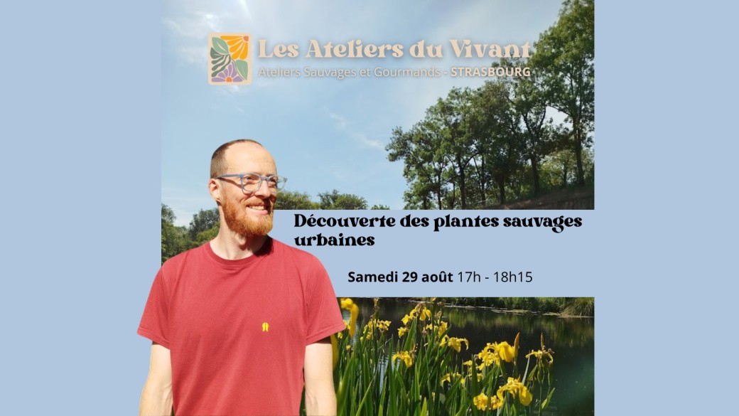 Découverte des plantes sauvages avec les Ateliers du vivant (1h)