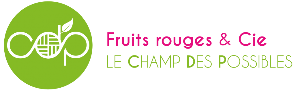 Découverte des plantes sauvages comestibles et médicinales