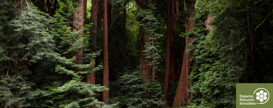 Découverte des savoirs-faire primitifs