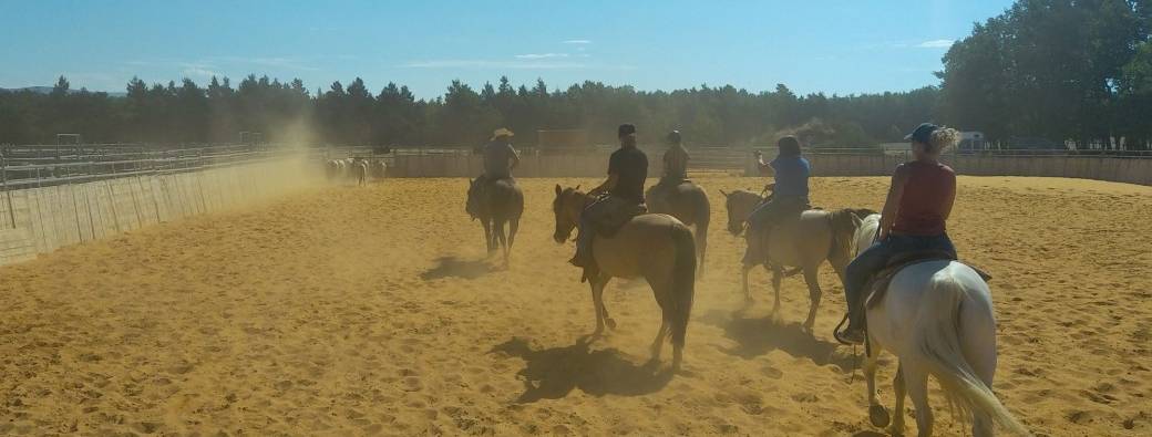 Découverte disciplines WESTERN