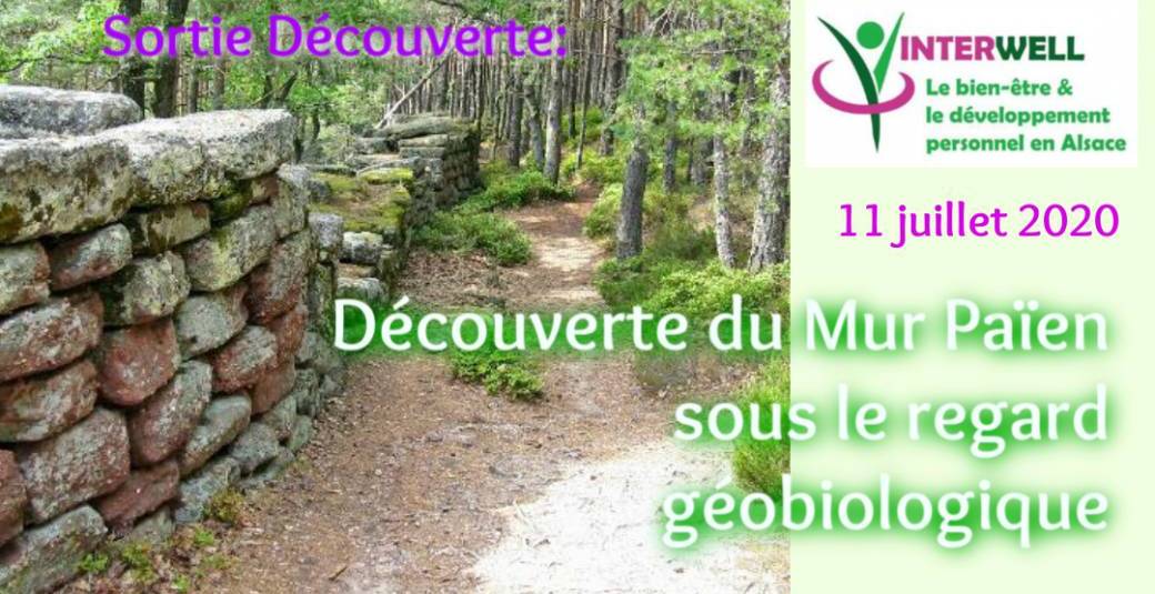 Découverte du mur païen sous le regard géobiologique
