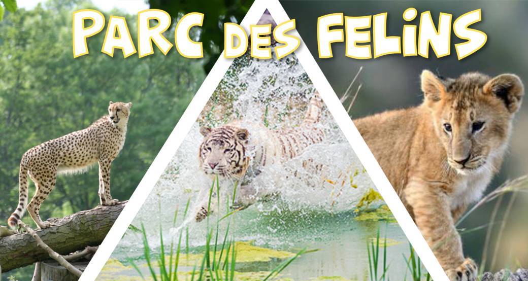 Découverte du Parc des Félins - DAY TRIP - 1 septembre