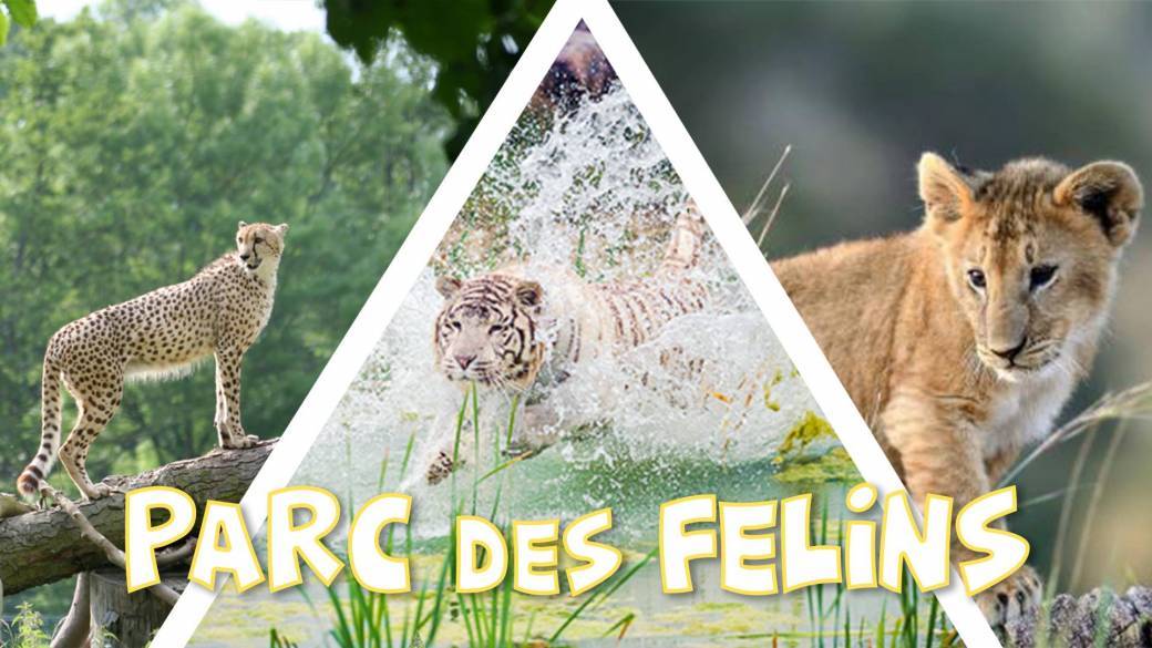 Découverte du Parc des Félins - DAY TRIP - 19 mars