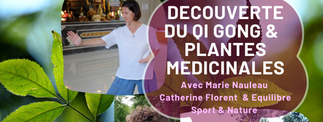 Découverte du Qi Gong et des plantes sauvages médicinales  Sud Loire de Nantes