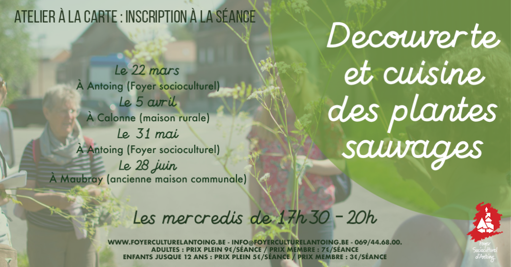 Découverte et cuisine de plantes sauvages 2023