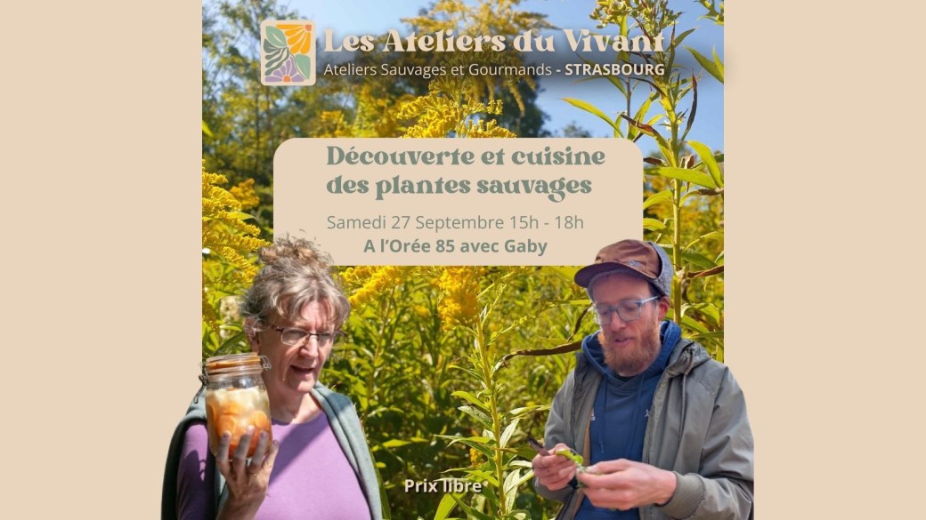 Découverte et cuisine de plantes sauvages à l'Orée 85