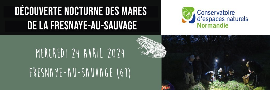 Découverte nocturne des mares de la Fresnaye-au-Sauvage 24/04/2024