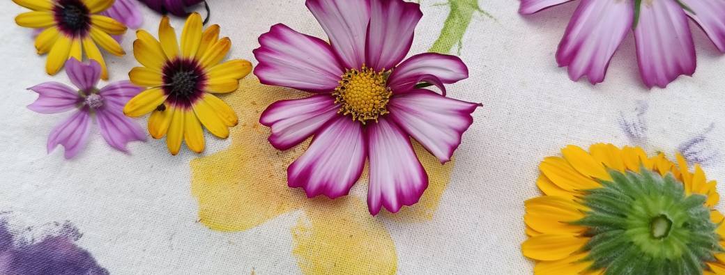 Découverte – Ecoprint : tataki-zomé - Maison Poëtis