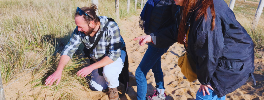 Découvertes des dunes