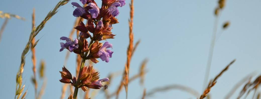 Découvre ta zone de génie