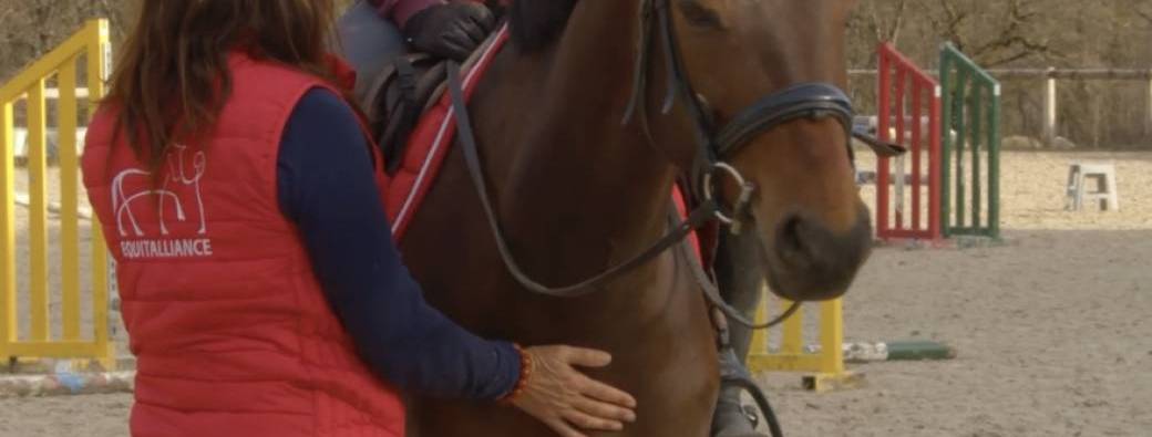 Découvrez la Magie de la Communication Intuitive Animale et des Soins Énergétiques en 6 jours