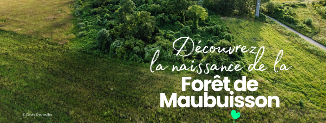 Découvrez la naissance de la forêt de Maubuisson - Journées Européennes du Patrimoine 2026