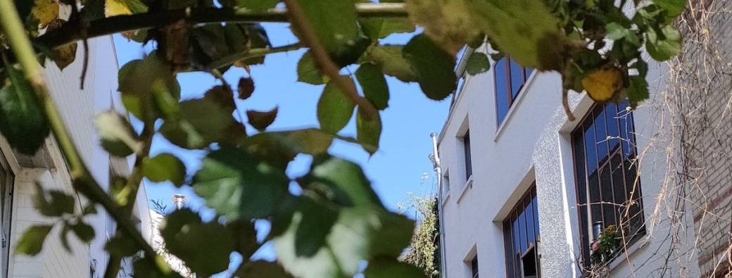 Découvrez le 15e nature et (presque) sans voiture !