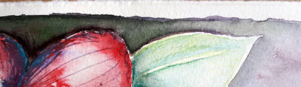 DECOUVRIR la technique du CRAYON AQUARELLE