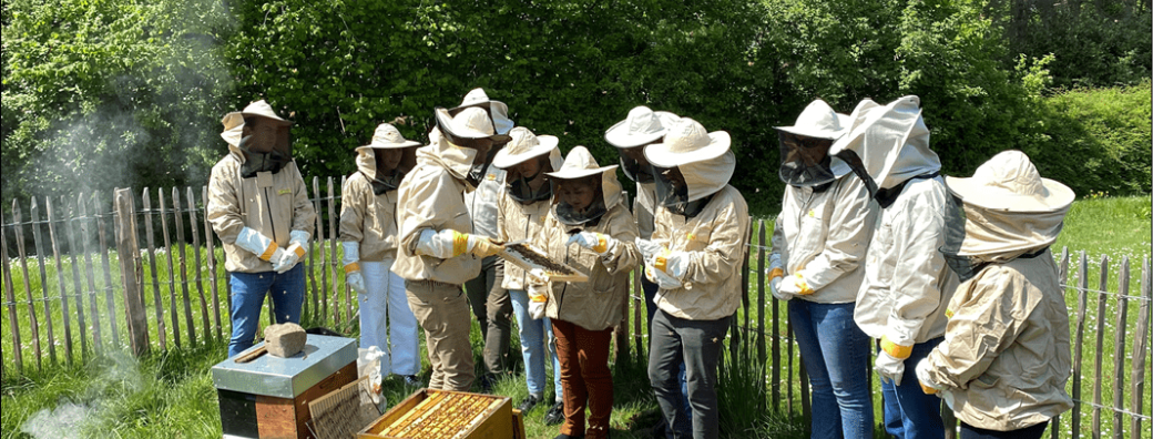 Découvrir l'apiculture à Axis Parc