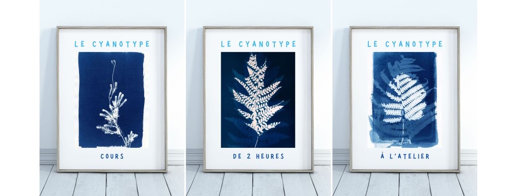 Découvrir le procédé du Cyanotype et s’initier à cette technique photographique