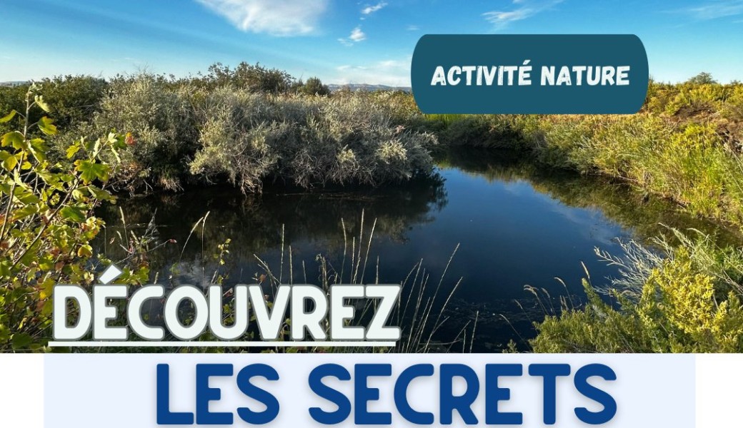 Découvrir les secrets des zones humides