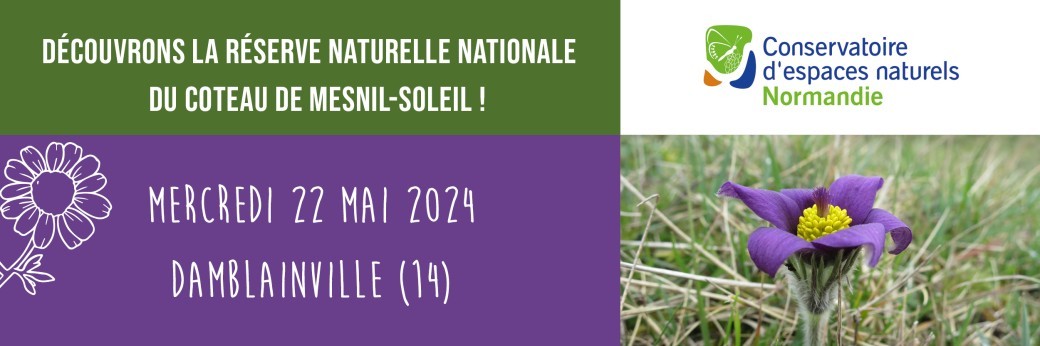 Découvrons la Réserve Naturelle Nationale du coteau de Mesnil-Soleil ! 22/05/2024