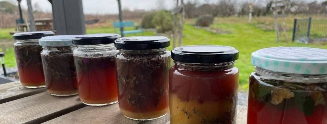 Défenses naturelles et plantes/ Atelier vinaigres  et oxymel