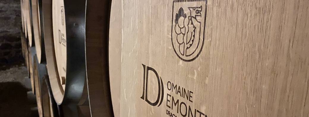 Dégustation au Domaine 