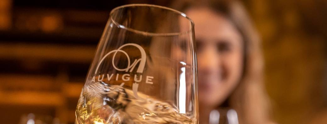 Dégustation Caveau