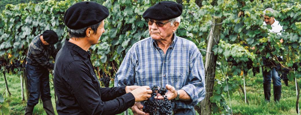 Dégustation Vignoble Plaimont
