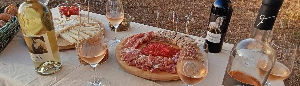 Dégustation dans les vignes au Mas Farchat