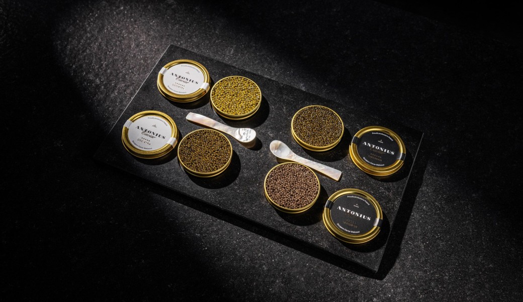 Dégustation de 4 caviars avec accords Champagne, Bourgogne & vodka