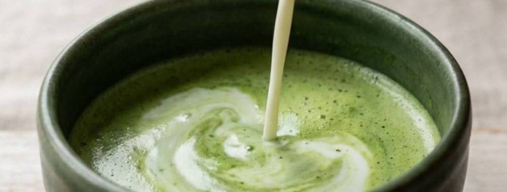 Dégustation de Matcha