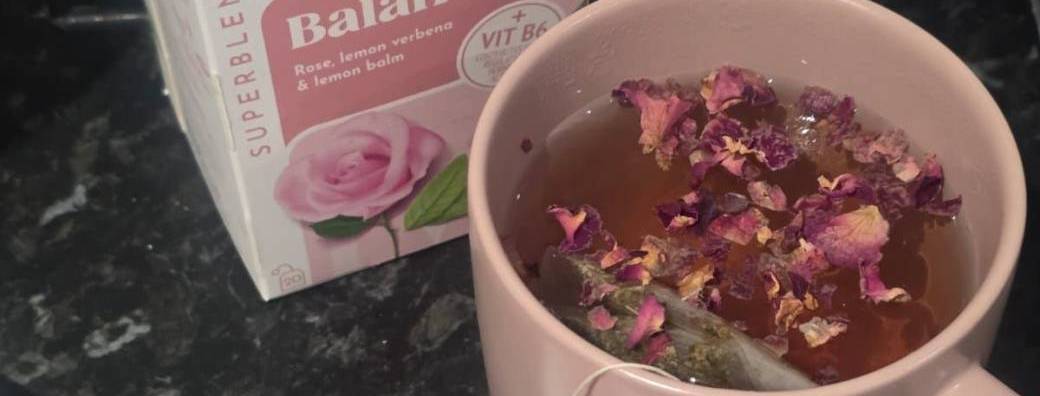 Dégustation de thé 