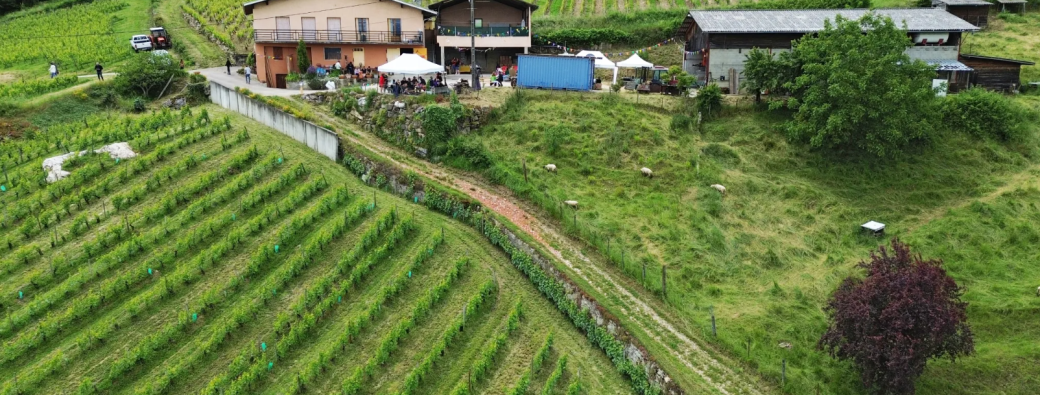 Dégustation Sensorielle - Domaine des Crocs Blancs