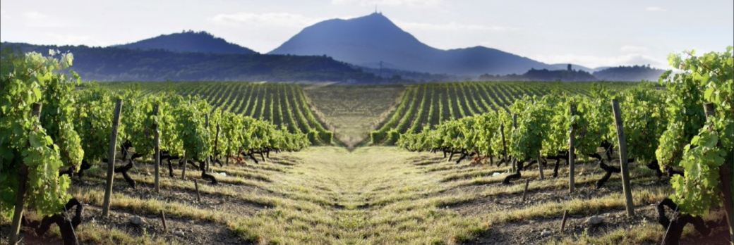 Fromages et vins volcaniques : l'Auvergne dans votre verre !