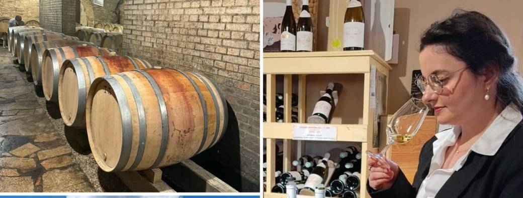 Dégustation de Vins