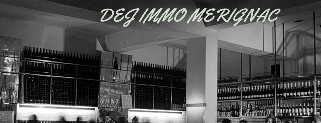 DEJ IMMO Merignac #4