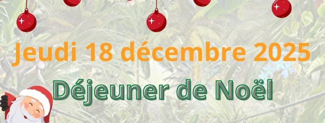 Déjeuner Noël du WIT