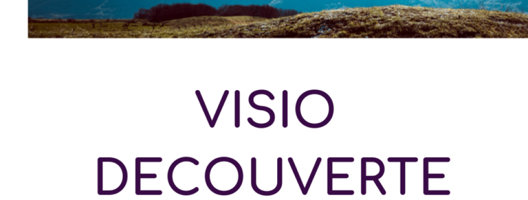 Demi-Journée Découverte Métier (en visio-conférence)