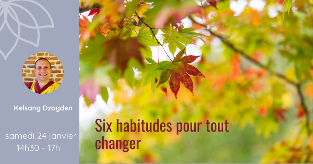 Demi-journée - Six habitudes pour tout changer