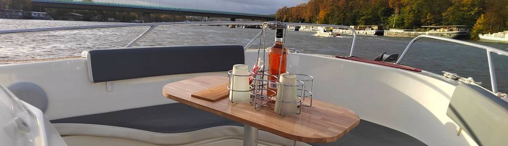 Paris River Cruise private boat 459 €