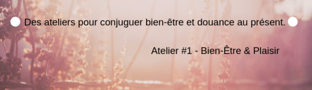 Déployer mes Z'ailes 
