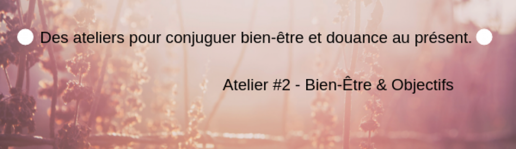 Déployer mes Z'ailes 