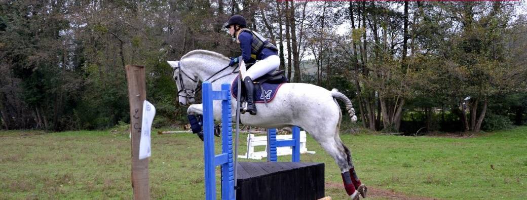 Derby cross
